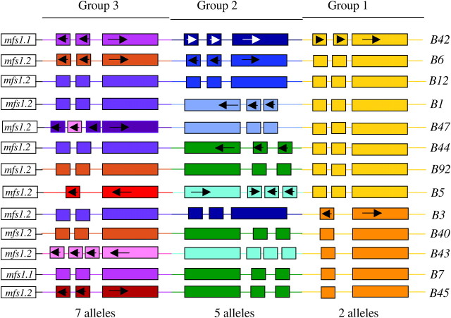 Figure 1.—