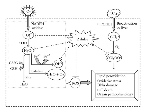 Figure 12