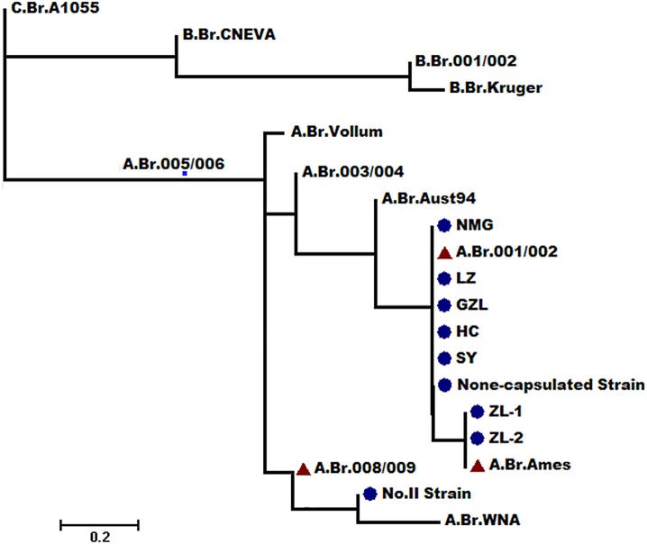 Fig 2