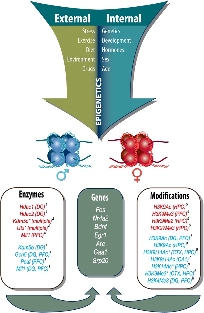 Figure 1.