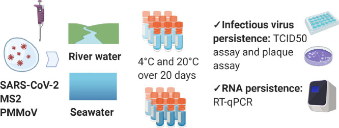 Image, graphical abstract