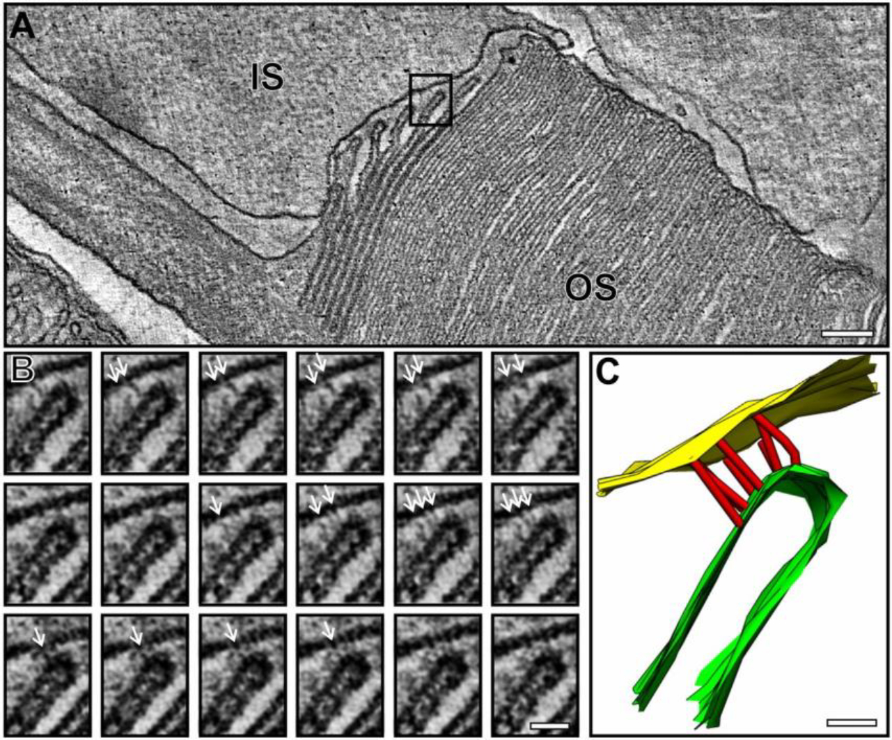 Fig. 3.