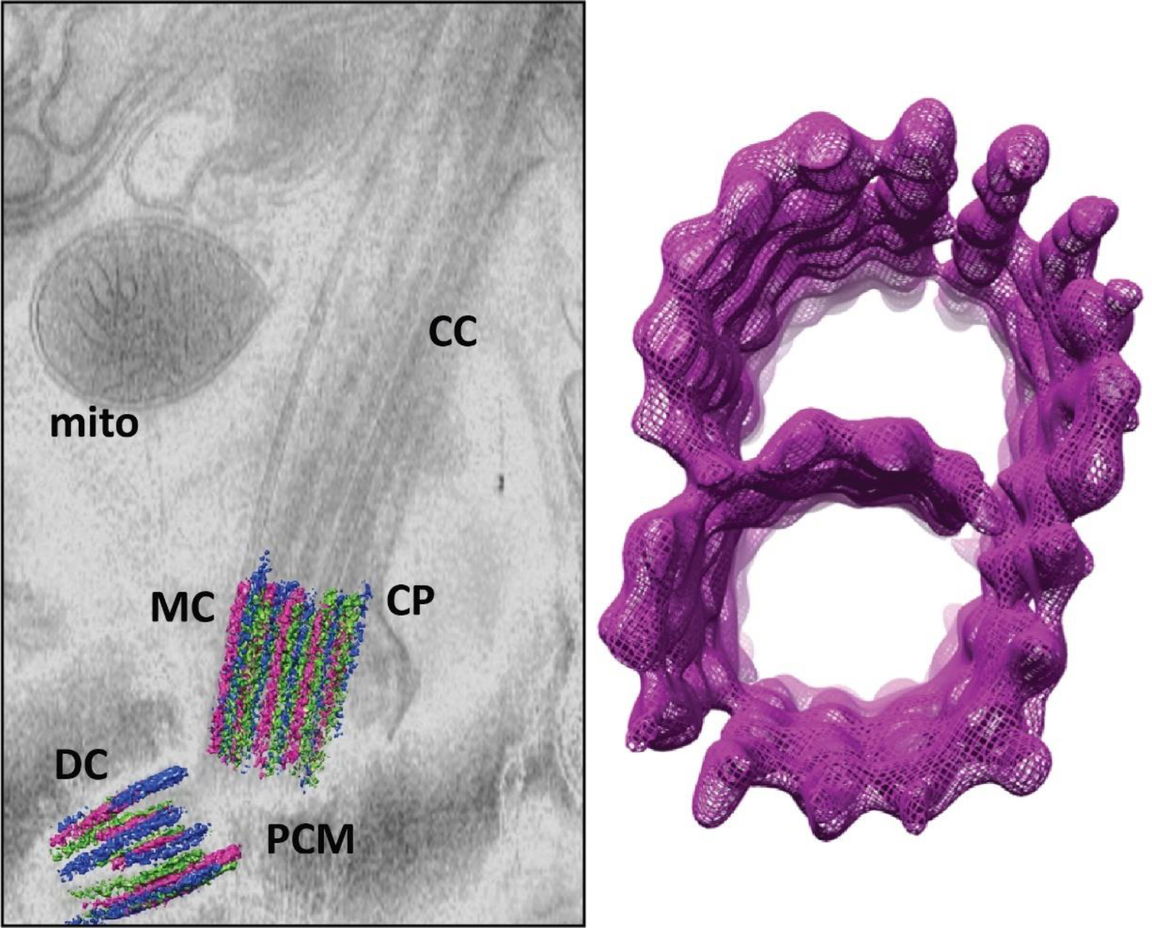 Fig. 4.