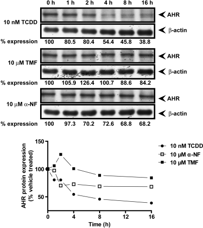 Fig. 8.