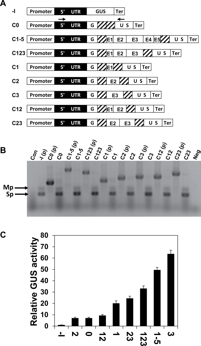 Fig. 5.