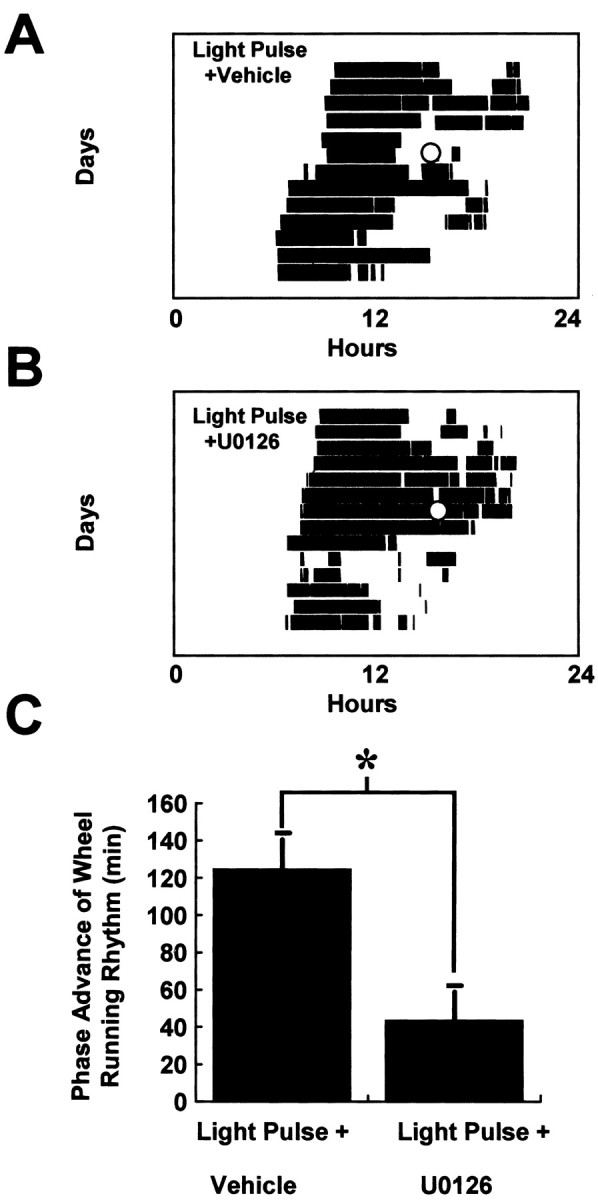 Fig. 9.