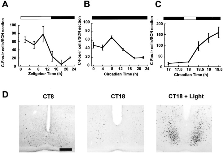 Fig. 5.