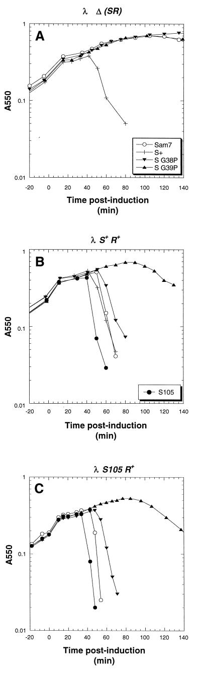 FIG. 5