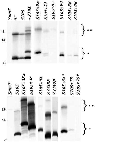 FIG. 3