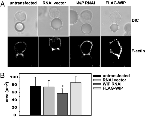 Fig. 4.