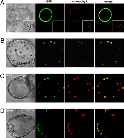 Fig. 3.