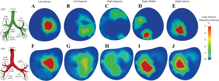 Fig. 6.