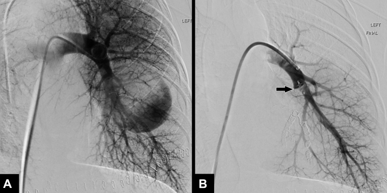 Fig. 7