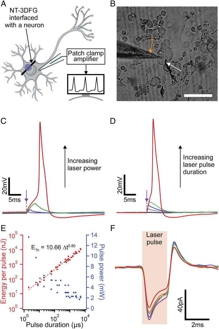 Fig. 4.