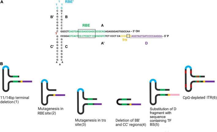 FIGURE 1