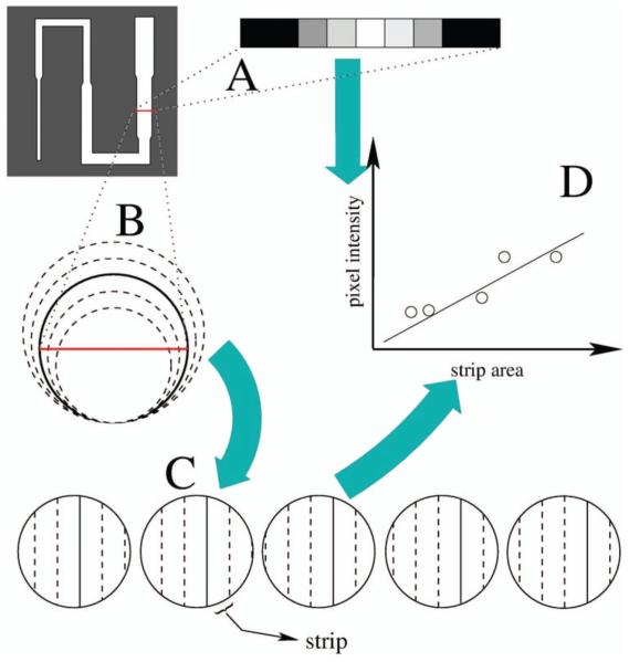 Fig. 2