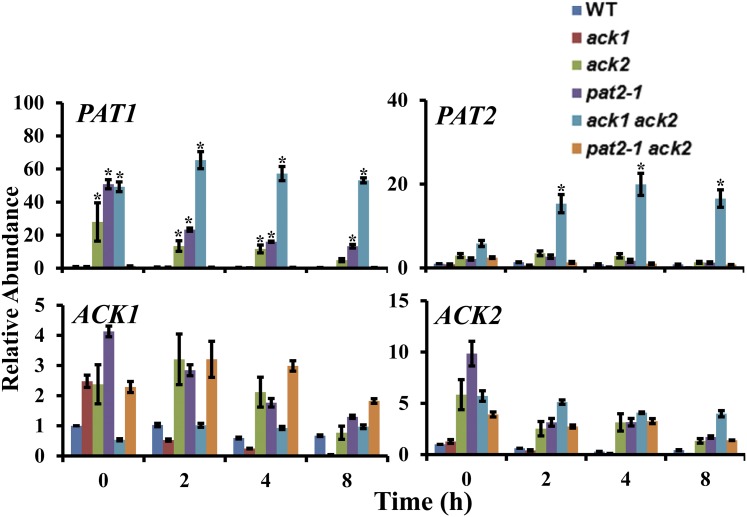 Figure 6.