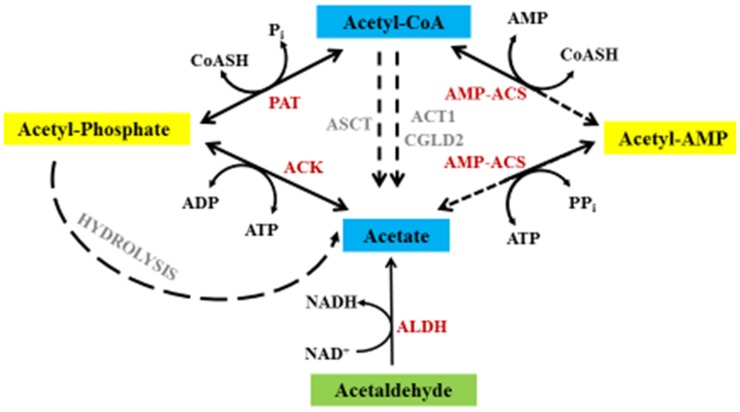 Figure 9.