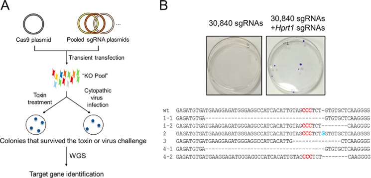 Figure 1.