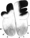 Fig. 10
