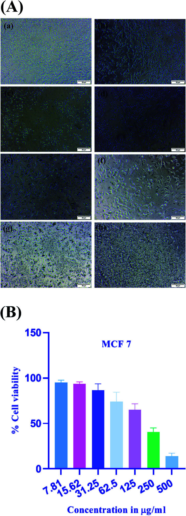 Fig. 11