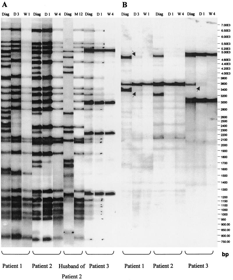 FIG. 1.