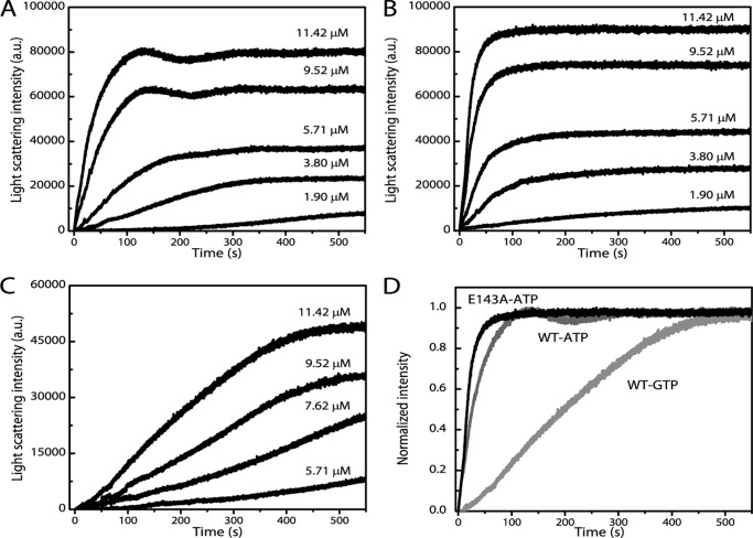 FIGURE 2.