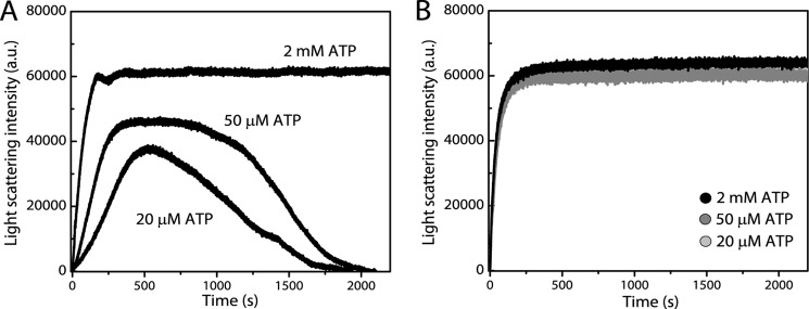 FIGURE 4.