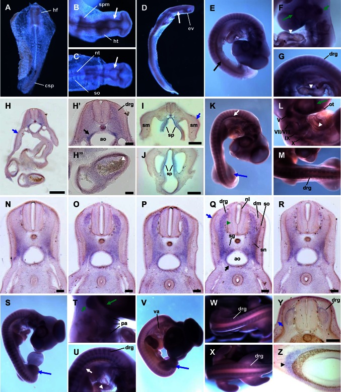 Fig. 2