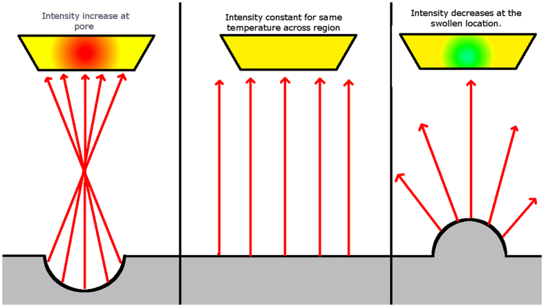 Figure 19