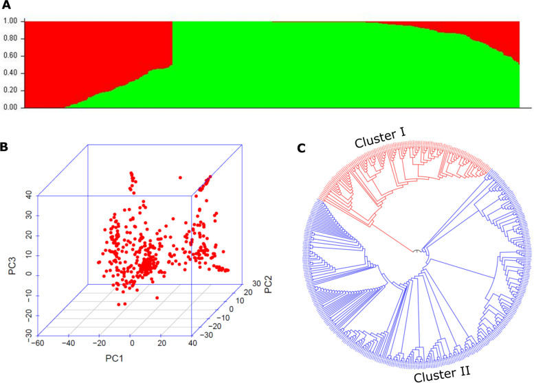 Genetic diversity, population structure, and genome-wide association ...