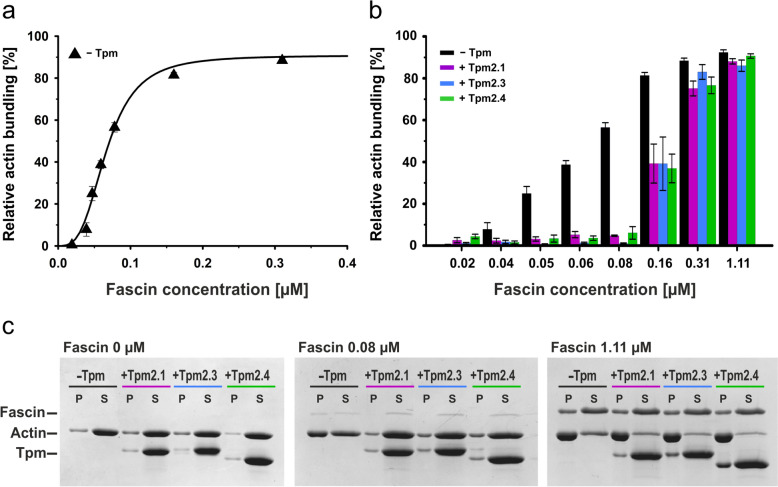 Fig. 3