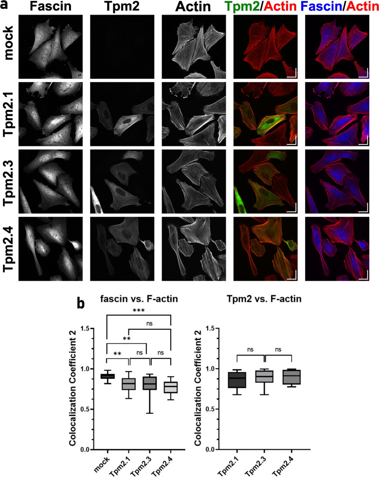 Fig. 9