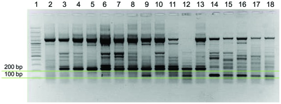 Fig. 5