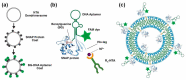 Figure 22