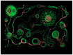Figure 28