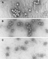 FIG. 5