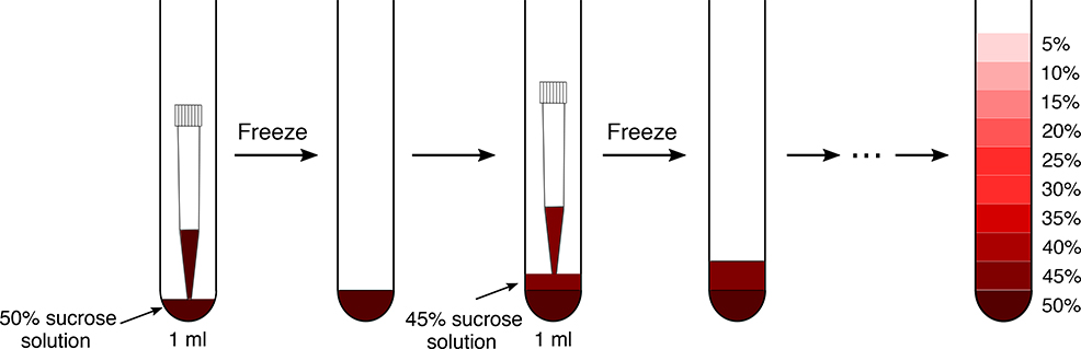 Fig. 2 |