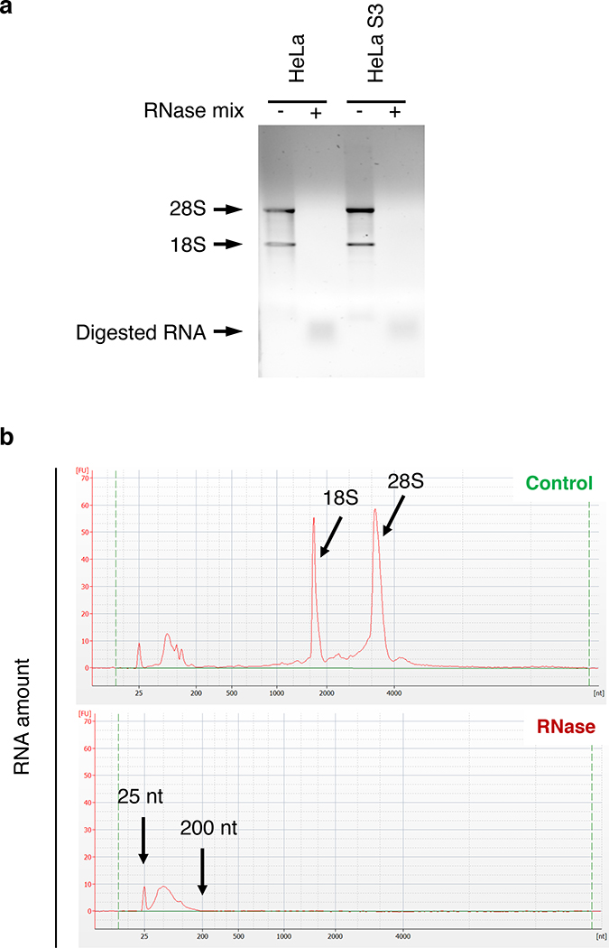 Fig. 3 |