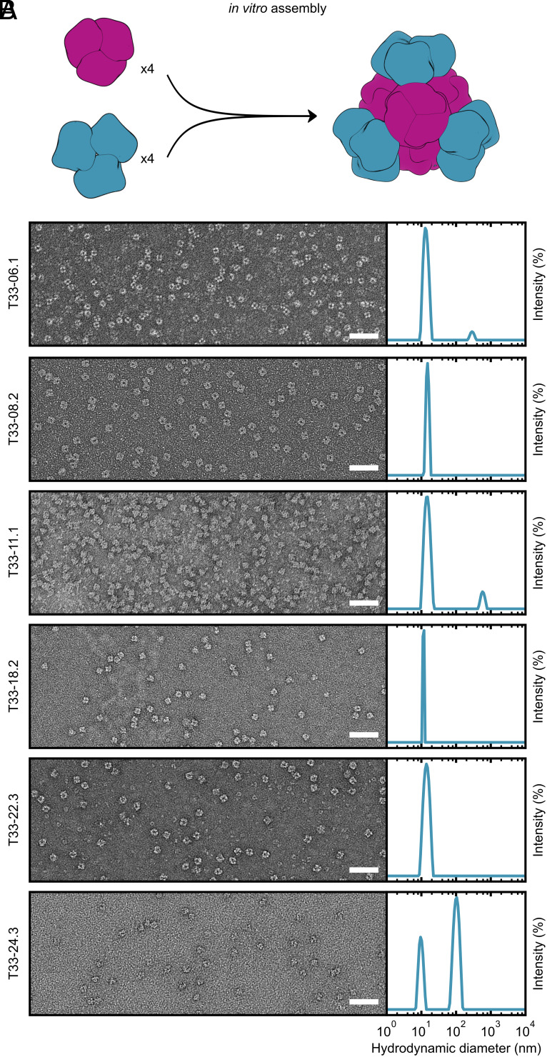 Fig. 4.