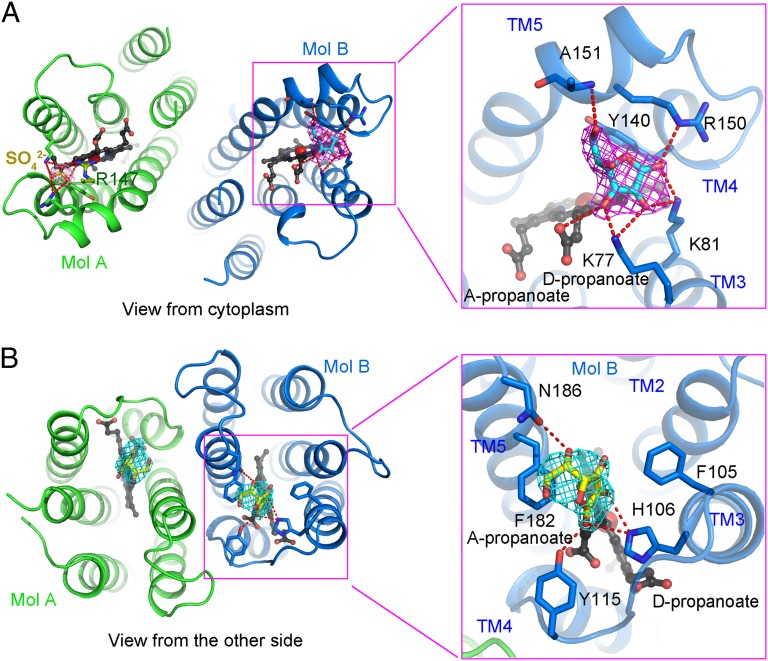 Fig. 3.