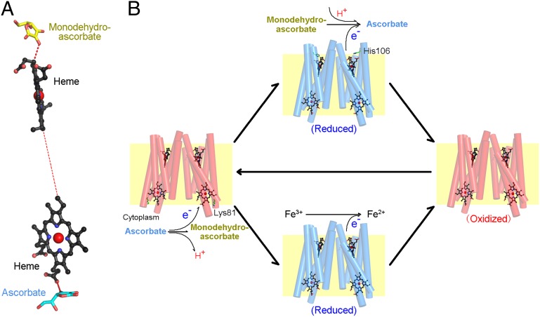 Fig. 4.