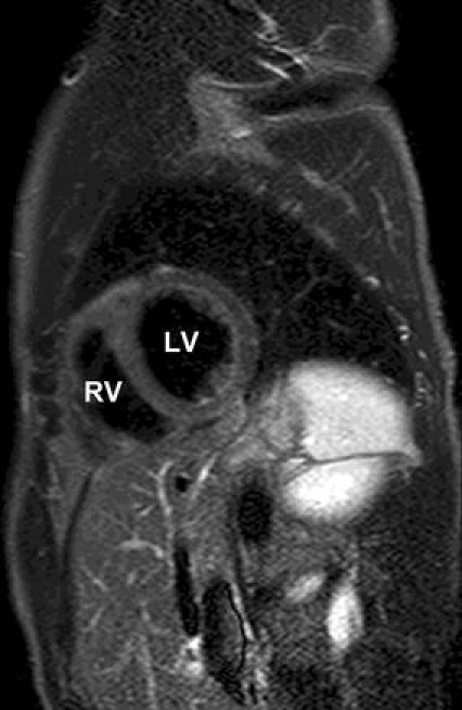 Fig. 2