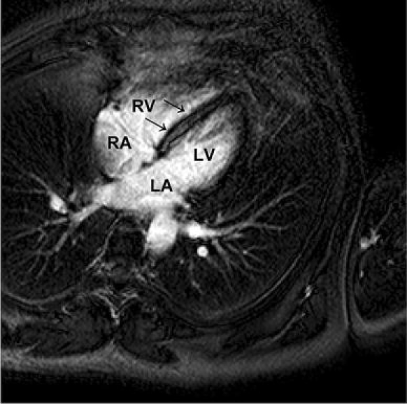 Fig. 5