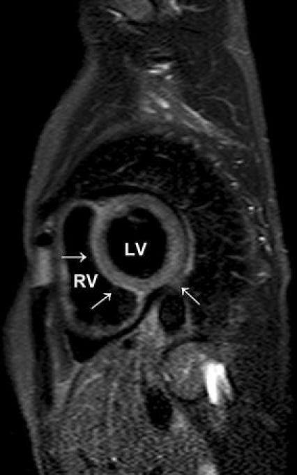 Fig. 1