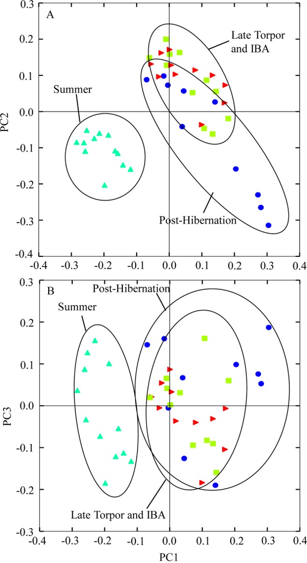 FIG 2