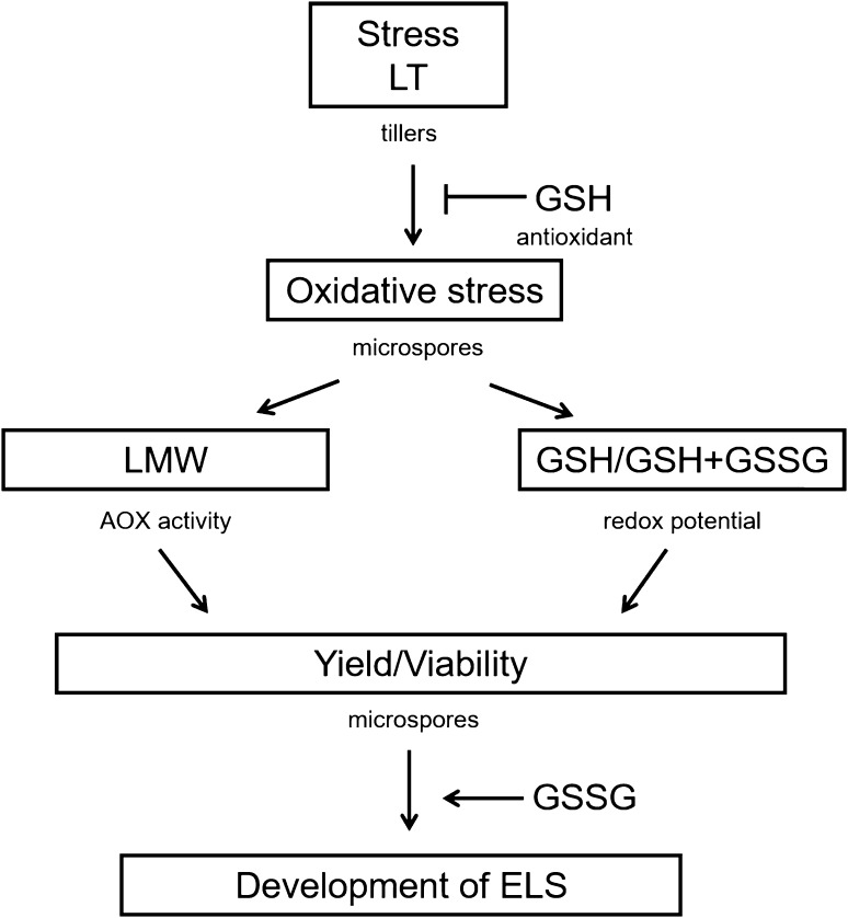 Fig. 10