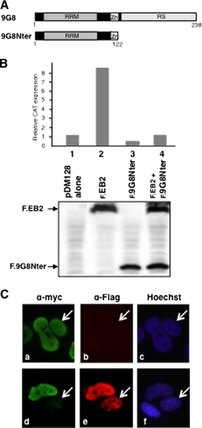 FIG. 7.