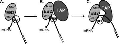 FIG. 9.