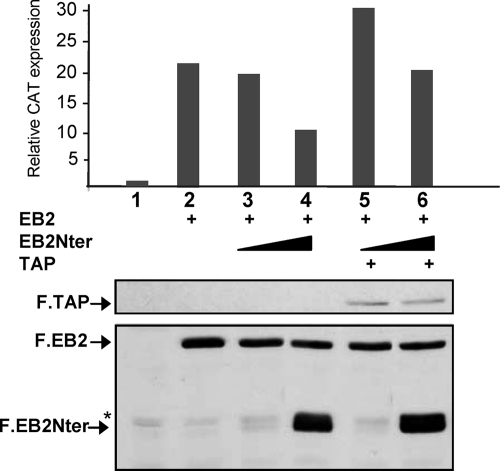 FIG. 6.